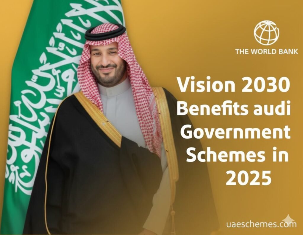 Vision 2030 Benefits and Saudi Government Schemes in 2025